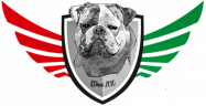 Hungária Amerikai Bulldog Klub